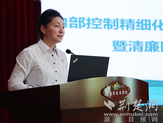 武汉市武昌医院开展内部控制精细化管理 IM电竞 IM电竞app三年行动筑牢清廉医院风险控制“防火墙”(图1)