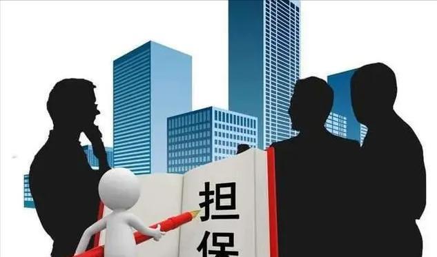 IM电竞 IM电竞app从多方面来看ST柏龙对外担保内部控制存在问题原因是什么？(图13)