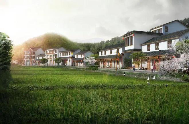 区域乡村振兴战略规划和具体村庄乡村振兴规划包含的内容IM电竞 IM电竞app(图3)
